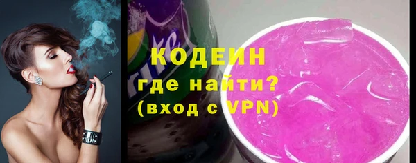 apvp Гусев