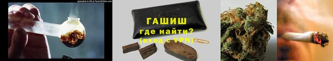 apvp Гусев