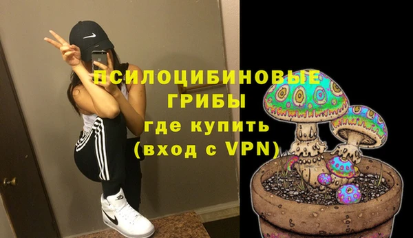 apvp Гусев