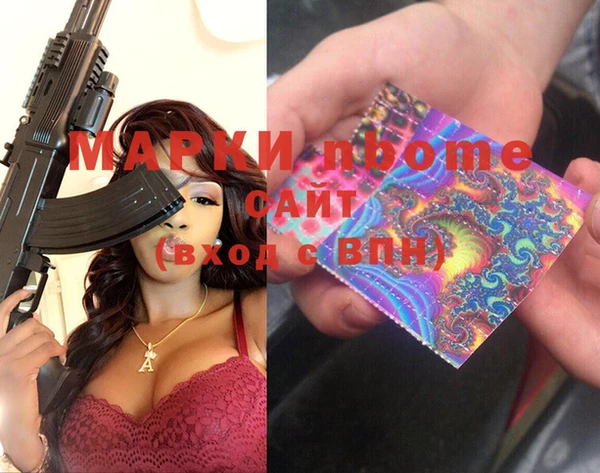 apvp Гусев