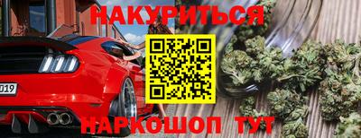 прущие крисы Можга