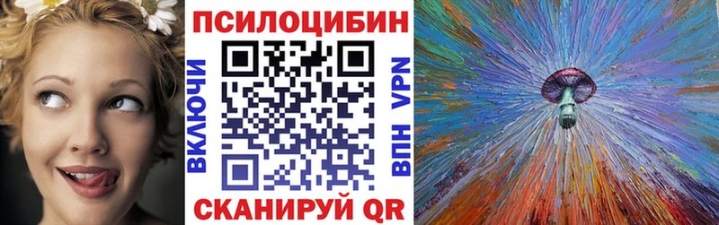 Псилоцибиновые грибы Psilocybine cubensis Когалым