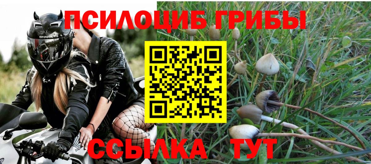 Псилоцибиновые грибы прущие грибы Когалым