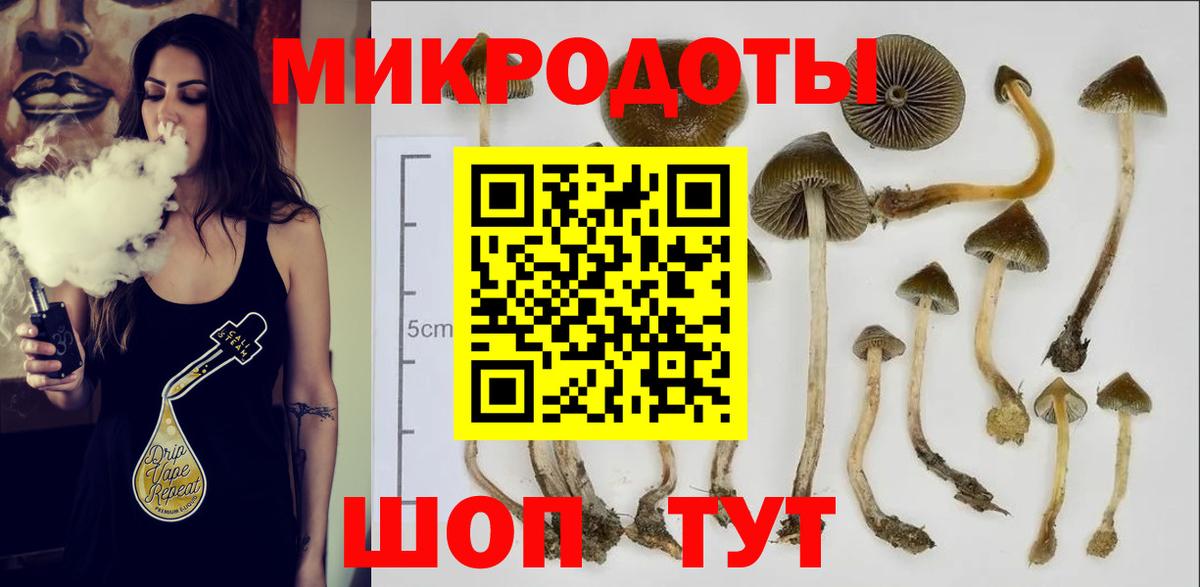 Псилоцибиновые грибы Psilocybine cubensis  Вход с VPN  Когалым 